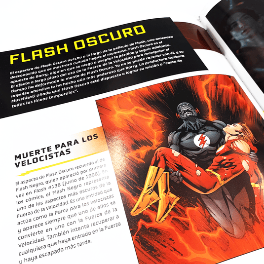 Flash, la guía visual oficial